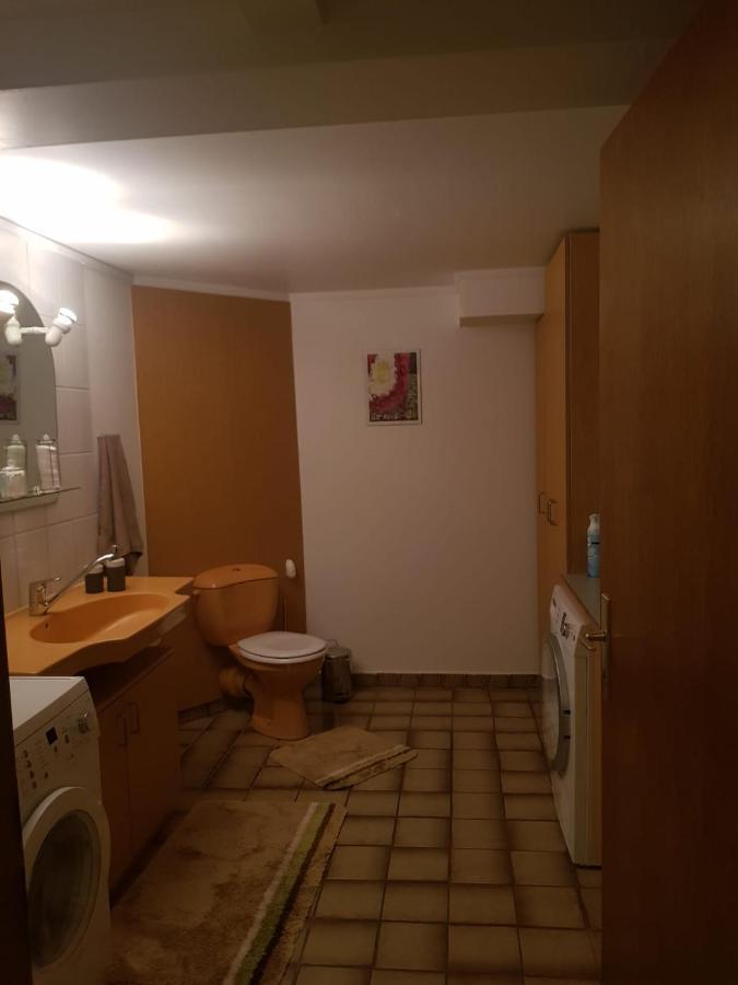 Gemuetliche Ferienwohnung Mit Kamin Und Sauna! Nistertal Exterior foto
