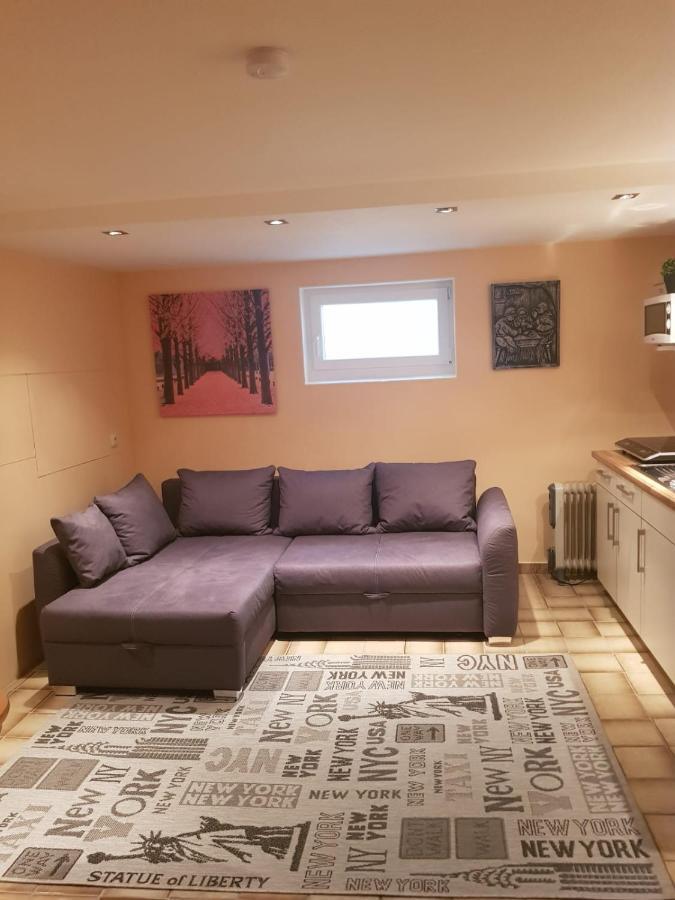 Gemuetliche Ferienwohnung Mit Kamin Und Sauna! Nistertal Exterior foto